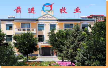监察审计履职责 筑牢发展防火墙——游艇会yth0008集团监察审计部工作纪实