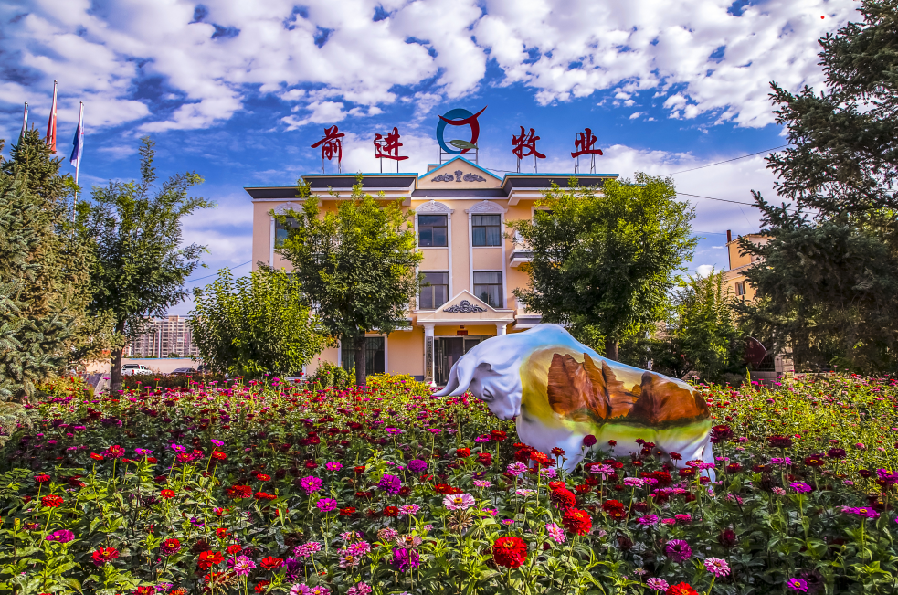 我与游艇会yth0008共游艇会yth0008